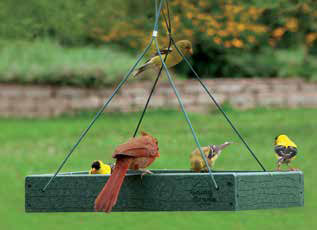 Going Green™ Platform Feeder - AudubonBerry Hill - Country Living Products