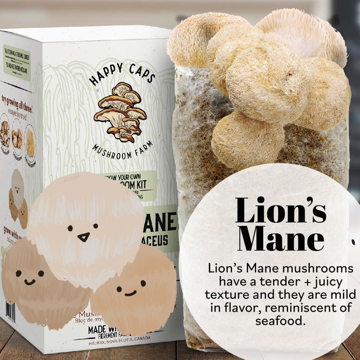 Happy Caps Mushroom Kit - Lions Mane