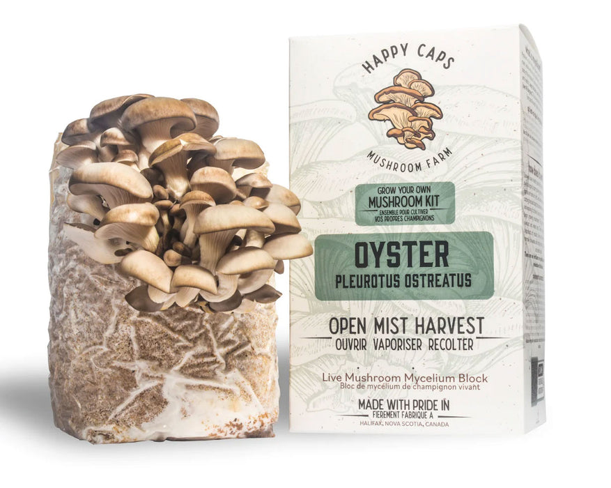 Happy Caps Mushroom Kit - Oyster