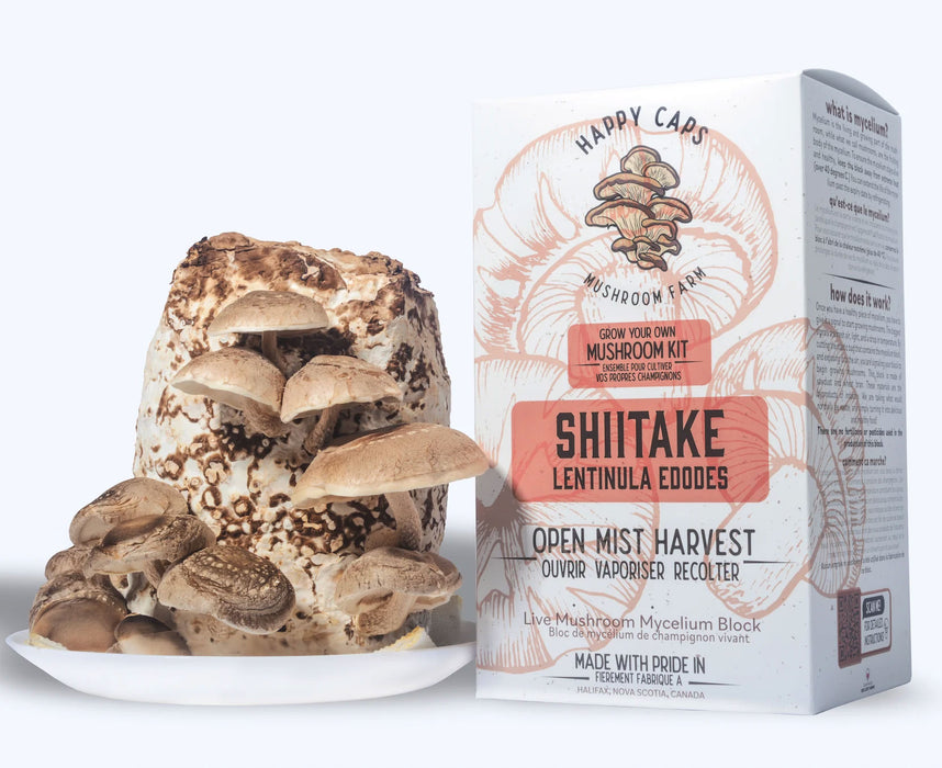Happy Caps Mushroom Kit - Shiitake