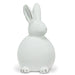 Medium Sitting Chalk Bunny - 11" - Berry Hill - Country Living Products
