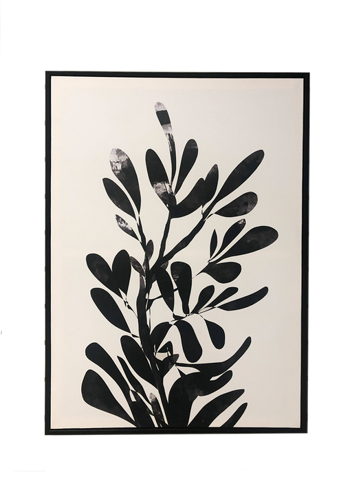 Black & White Canvas Plant Print - Berry Hill - Country Living Products