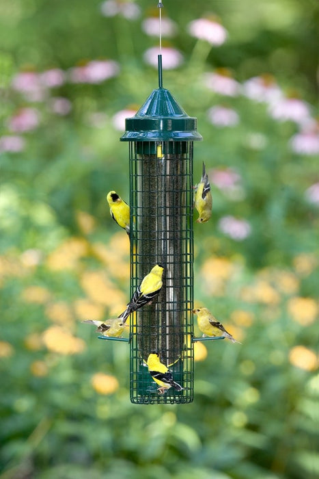 Squirrel Buster Finch Feeder - Berry Hill - Country Living Products