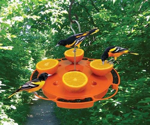 Ultimate Oriole Feeder - Berry Hill - Country Living Products