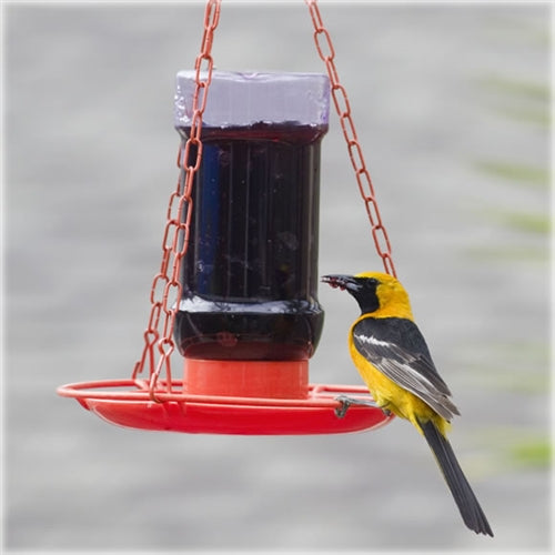 Oriole Jelly Feeder - Berry Hill - Country Living Products