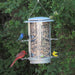 Squirrel X1 Squirrel Proof Feeder - Berry Hill - Country Living Products