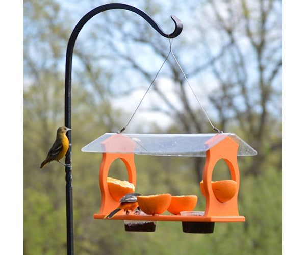 Oriole Feeder - Jelly House Feeder - Berry Hill - Country Living Products