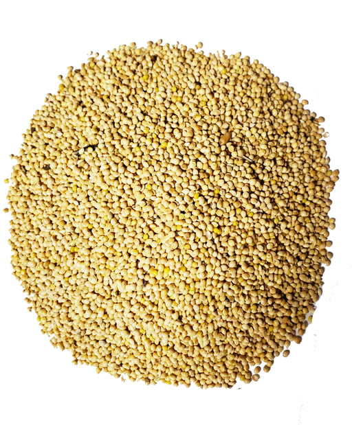 White Millet - 40 lb - Berry Hill - Country Living Products