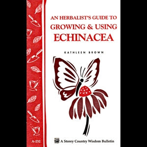 An Herbalist Guide to Growing and Using Echinacea - Berry Hill - Country Living Products