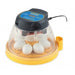 Brinsea Mini II Advance Fully Digital 7 Egg Incubator - Berry Hill - Country Living Products