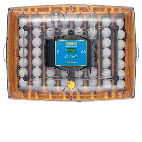 Brinsea Ovation 56 EX Fully Automatic Digital Egg Incubator - Berry Hill - Country Living Products