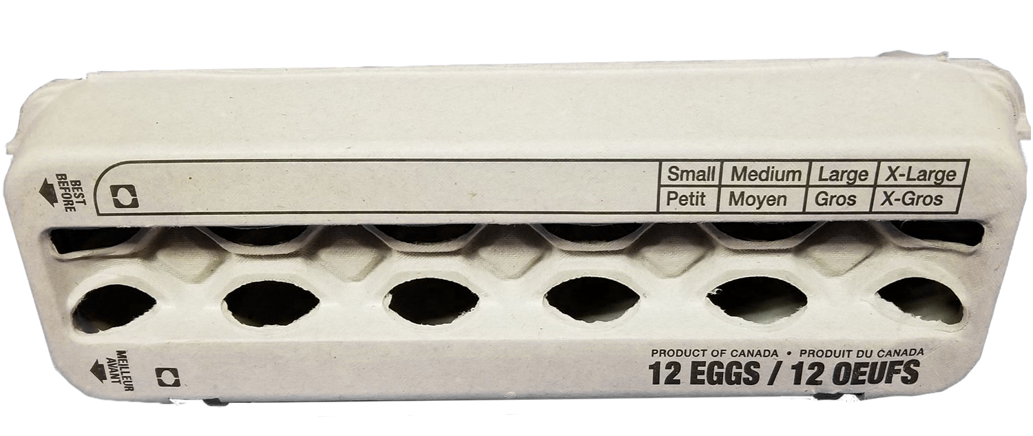 Egg carton - Open Top - 1 dozen capacity -100pcs - Berry Hill - Country Living Products