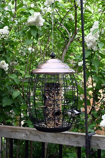 Copper Squirrel Resistant Cage Feeder