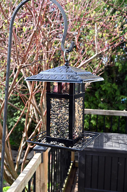 Lantern Style Bird Feeder