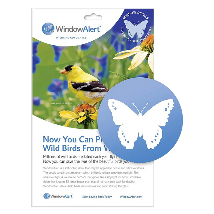 WindowAlert - 4" Butterfly Decals (Pkg of 4)