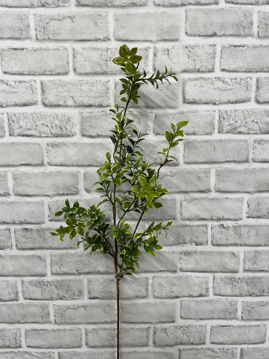 38" Euonymus Spray