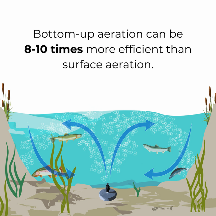 20' Koenders Windmill System