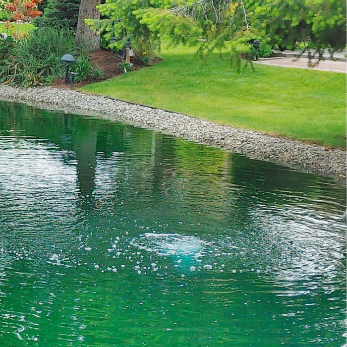 LD Electric 1.5 Aerator with Diffuser