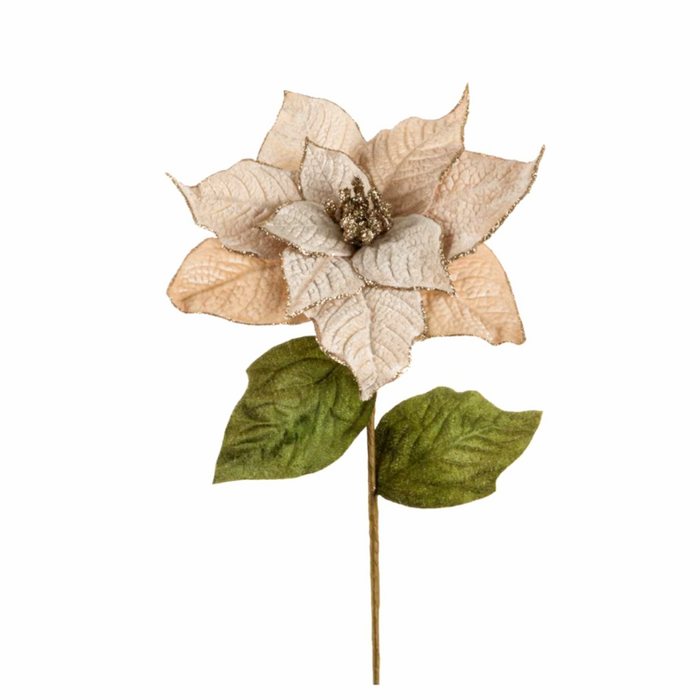 26.5" Ivory Poinsettia Pick