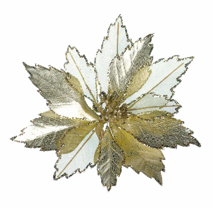 10" Sheer Champagne Poinsettia