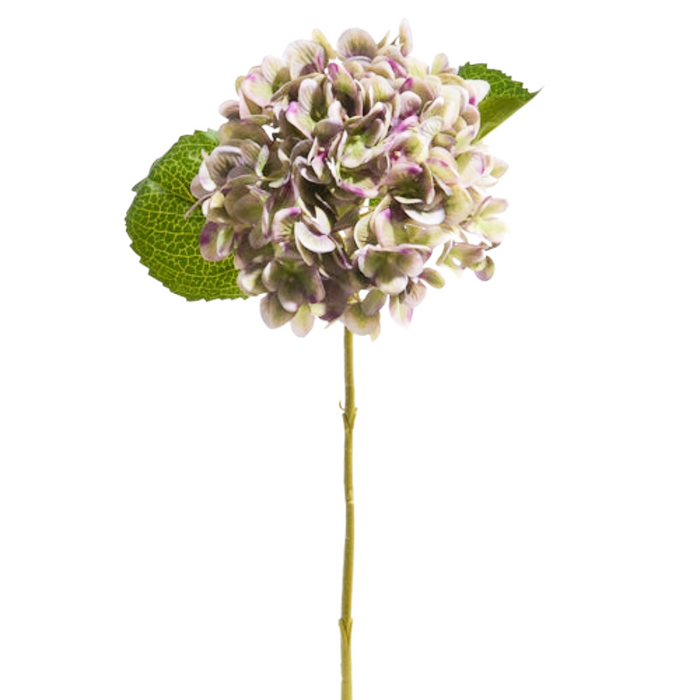 18" Green & Purple Hydrangea Stem