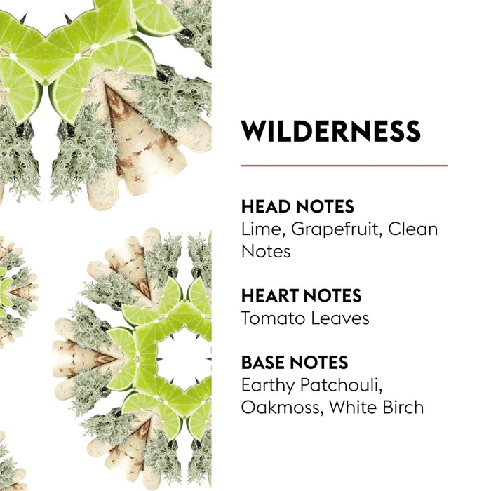 Lampe Berger Terra Black Lamp + 250ml Wilderness Oil Fragrance