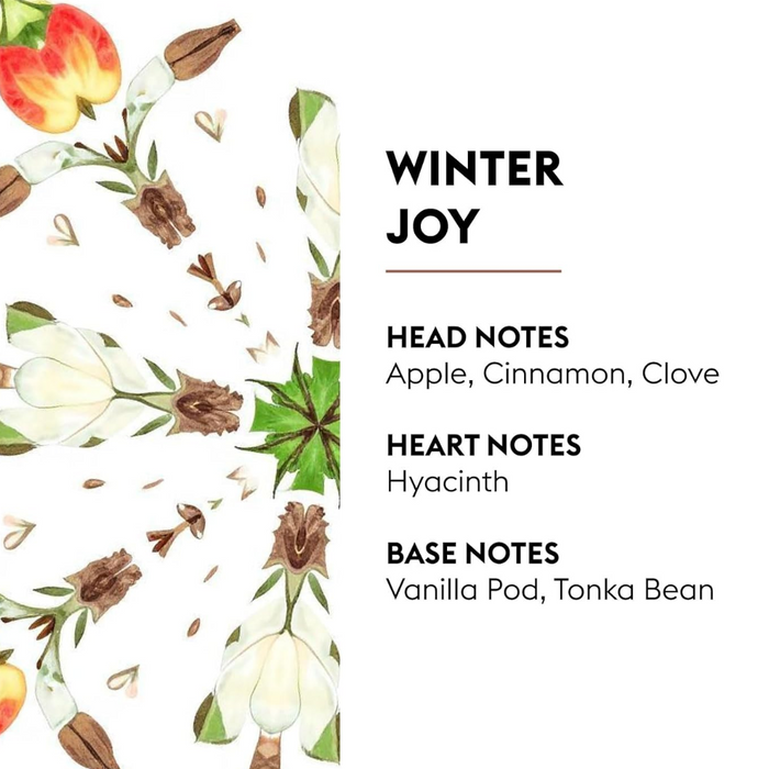 Lampe Berger Refill - Winter Joy 500ml