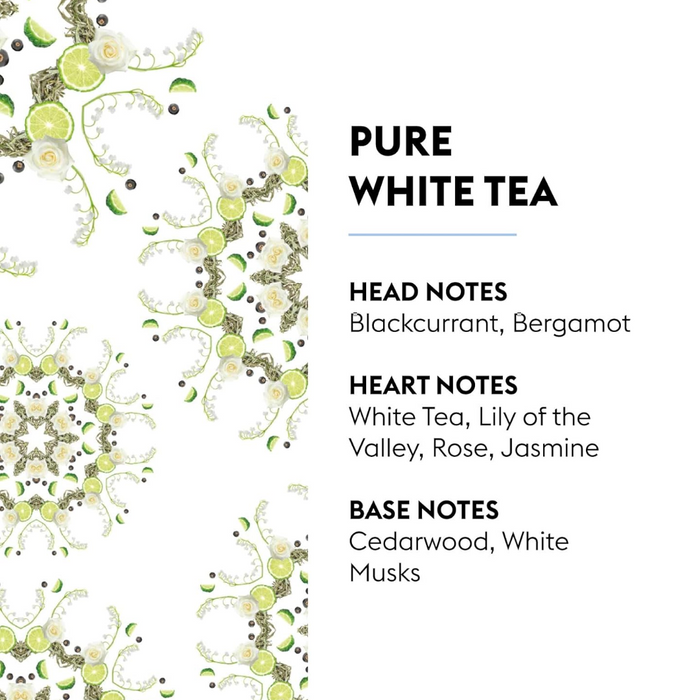 Lampe Berger Refill - Pure White Tea - 500ml