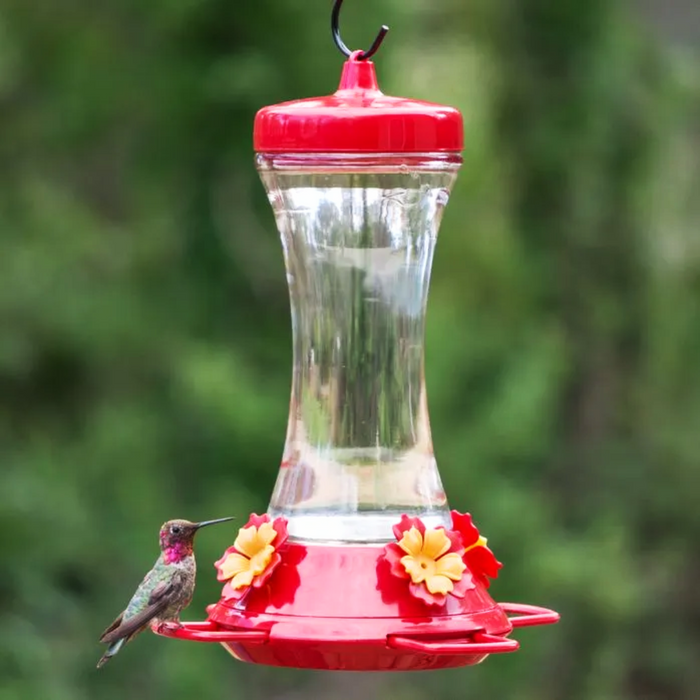 HUMMINGBIRD FEEDER - 20oz glass