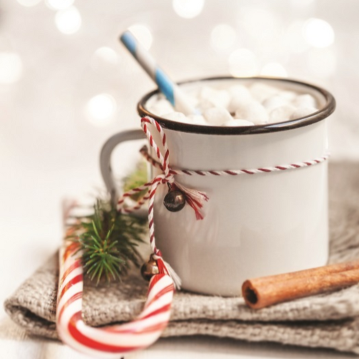 Gourmet Village - NO SUGAR ADDED Candy Cane Hot Chocolate