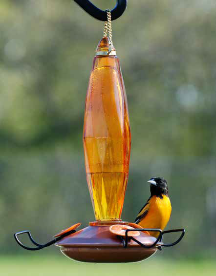10 oz. Jewel Cut Glass Oriole Feeder - AudubonBerry Hill - Country Living Products