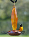 10 oz. Jewel Cut Glass Oriole Feeder - AudubonBerry Hill - Country Living Products