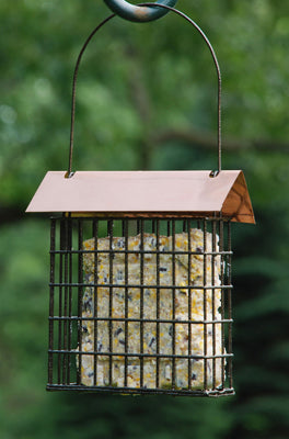 Coppertop Single Suet Cage Feeder - WoodlinkBerry Hill - Country Living Products