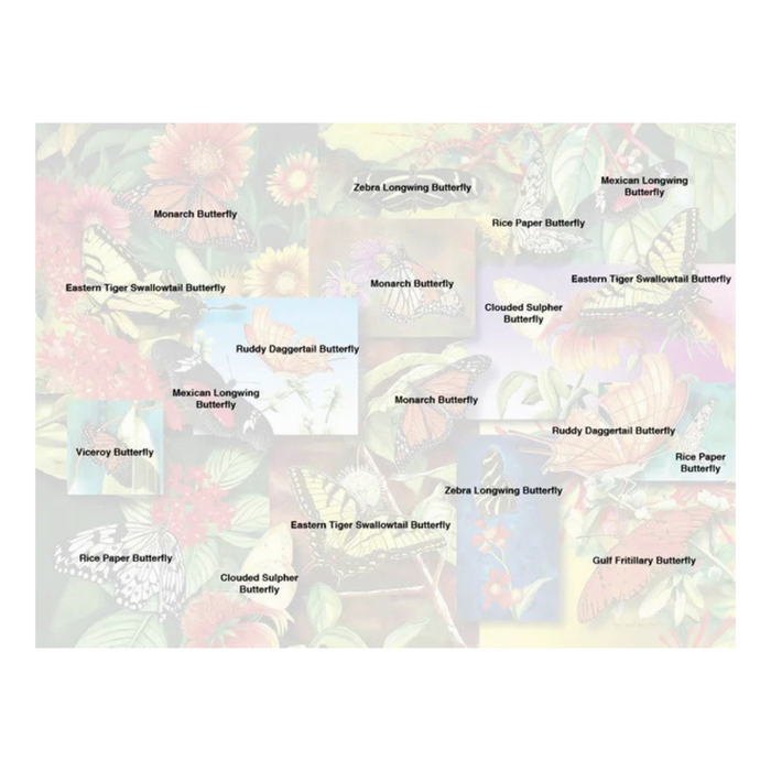 Springbok Puzzle - Butterfly Garden - 500 pieces