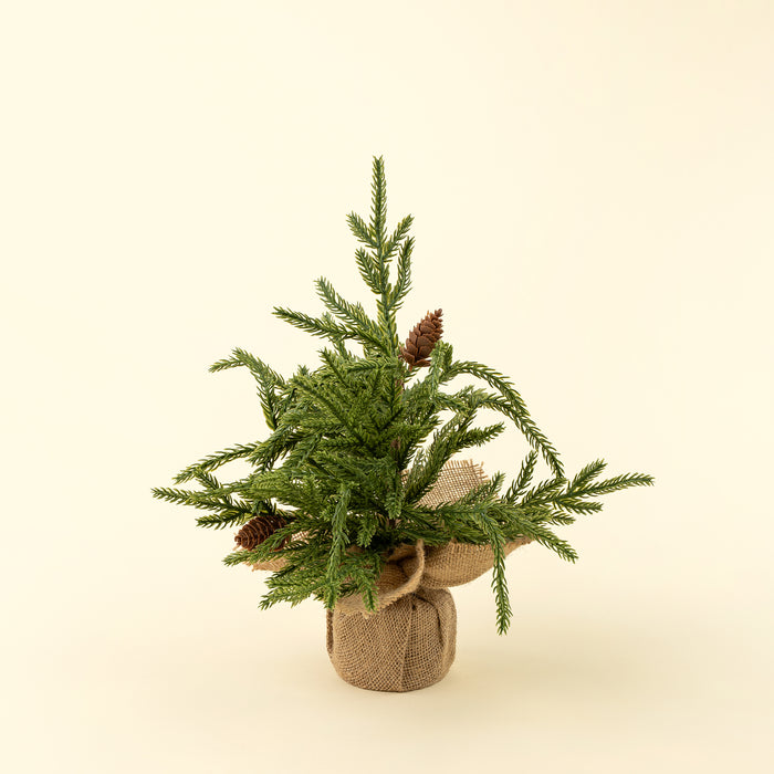 Small Cedar Tabletop Tree