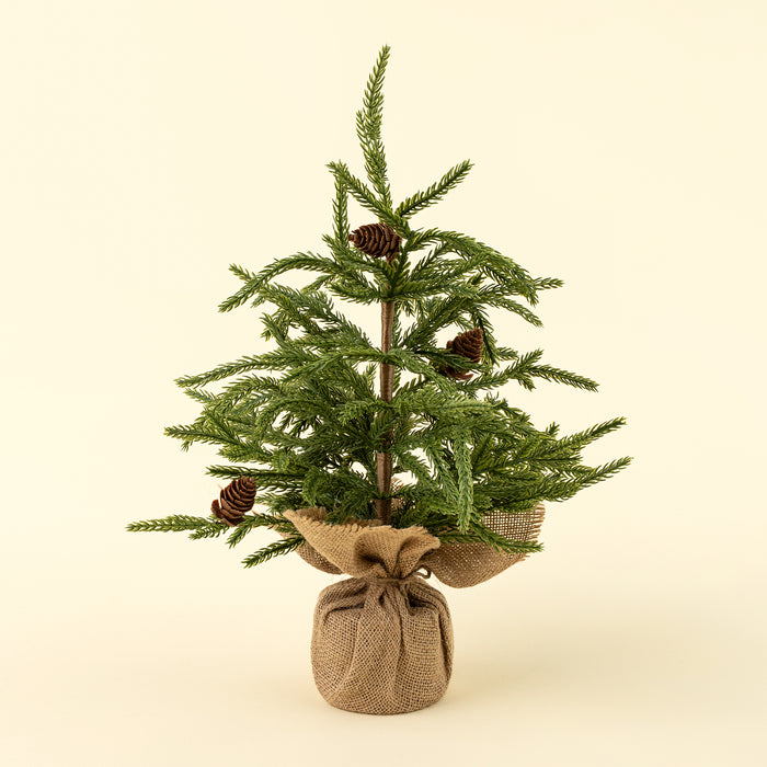 Large Cedar Tabletop Tree