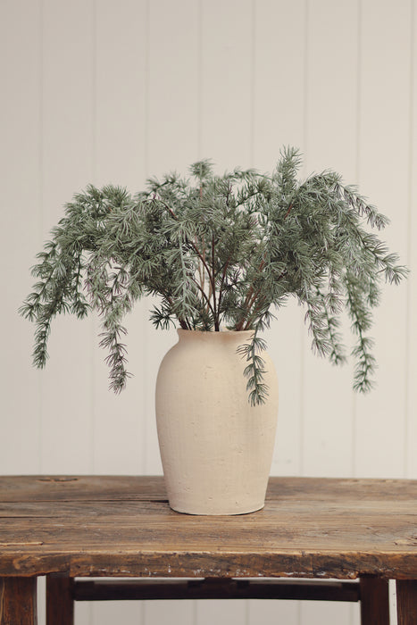Evergreen Larch Sprig