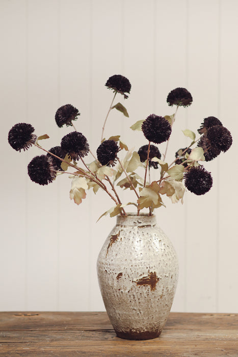 Pom Pom Floral Spray - Midnight