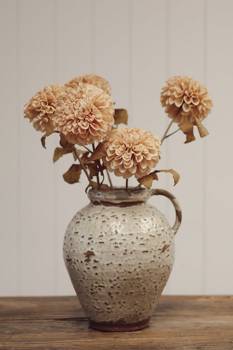 Pompon Dahlia Stem - Cream