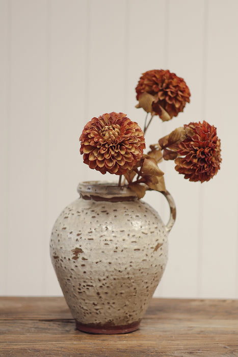 Pompon Dahlia Stem - Brown