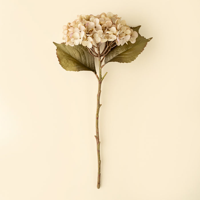 Heirloom Hydrangea Stem - White