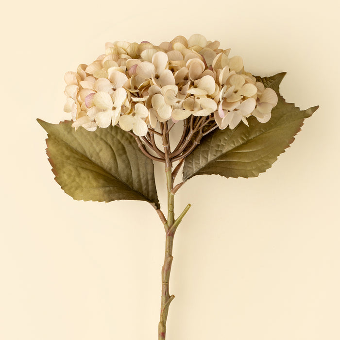 Heirloom Hydrangea Stem - White