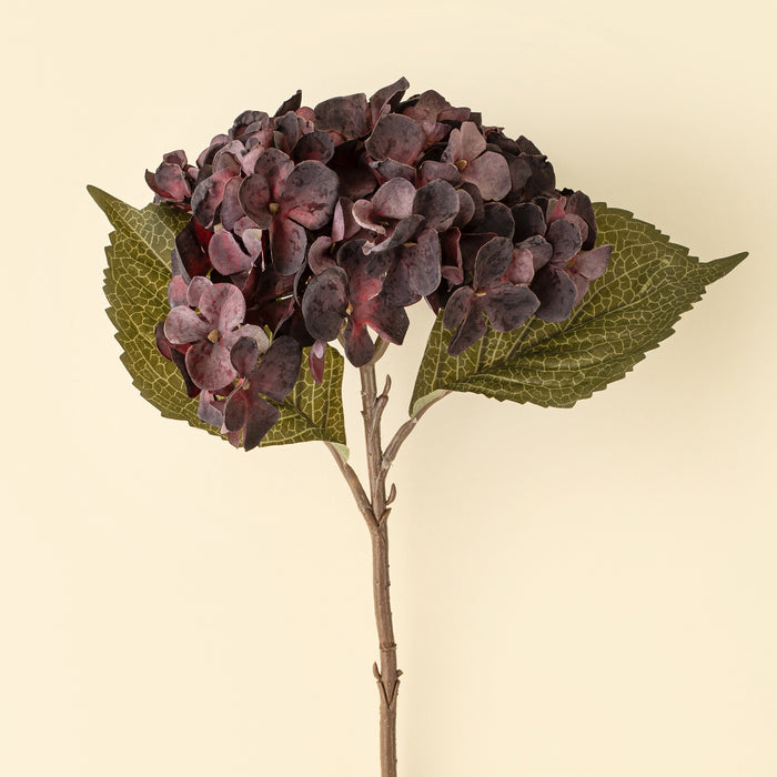 Heirloom Hydrangea Stem - Deep Purple