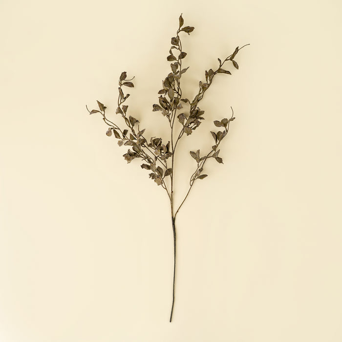 Smoke Eucalyptus Spray
