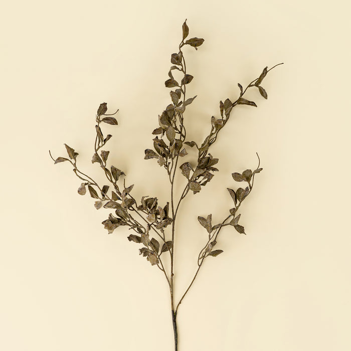 Smoke Eucalyptus Spray