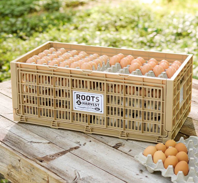 Collapsible Egg Crate