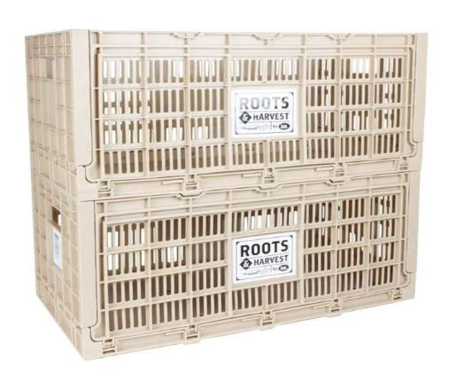 Collapsible Egg Crate