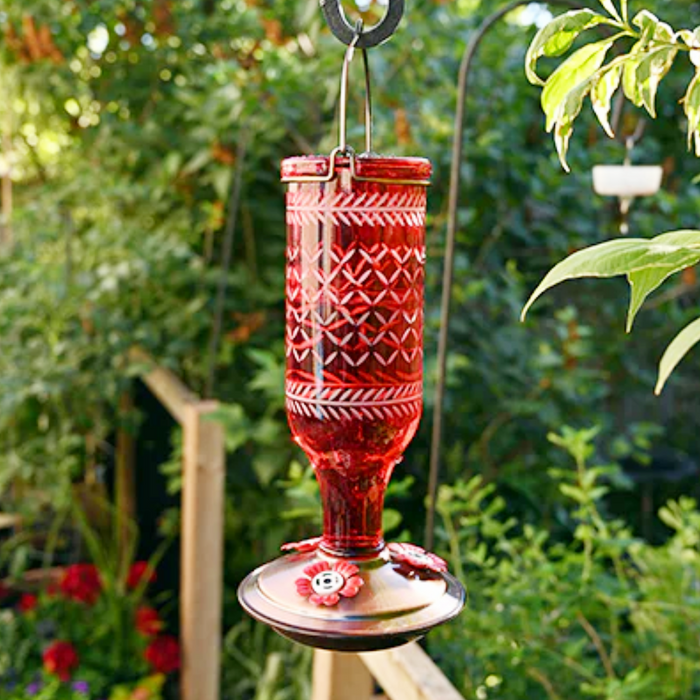 Hummingbird Feeder - Vintage Bottle