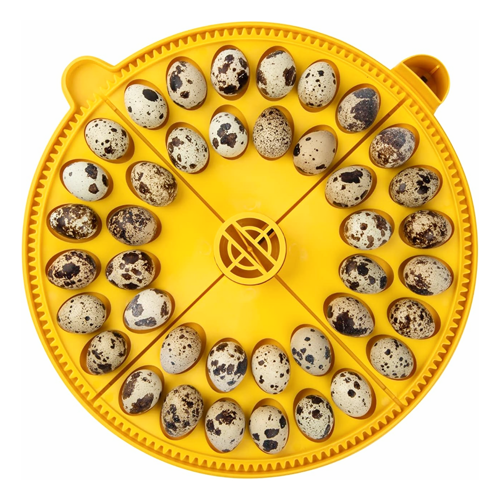 Round Quail Egg Incubator Turning Tray