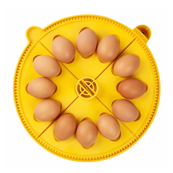 Brinsea Maxi 24 - Large Egg Disk Quadrant Pack - 12 Hen Eggs